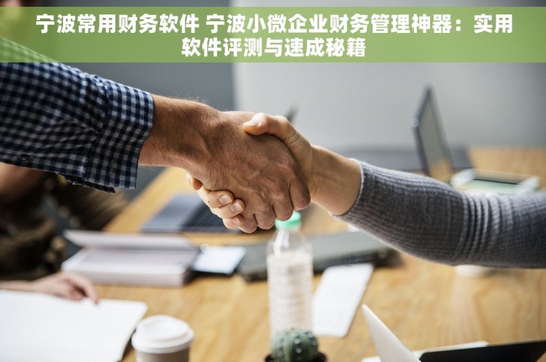 宁波常用财务软件 宁波小微企业财务管理神器：实用软件评测与速成秘籍