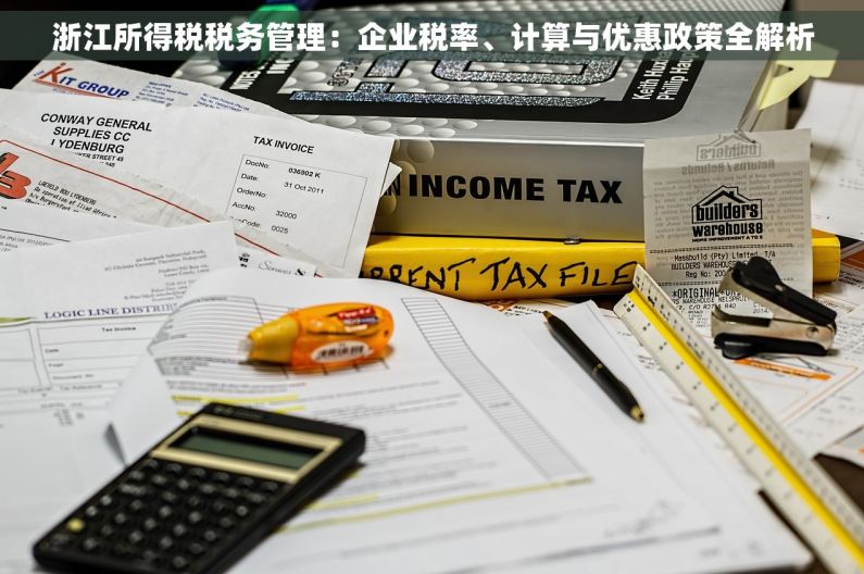 浙江所得税税务管理：企业税率、计算与优惠政策全解析