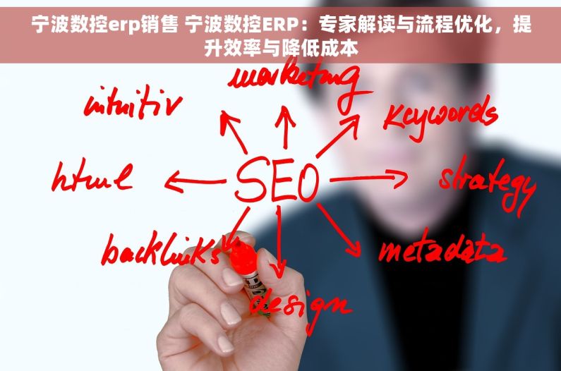 宁波数控erp销售 宁波数控ERP：专家解读与流程优化，提升效率与降低成本