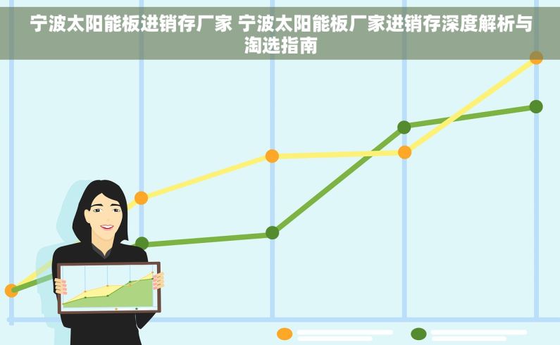 宁波太阳能板进销存厂家 宁波太阳能板厂家进销存深度解析与淘选指南