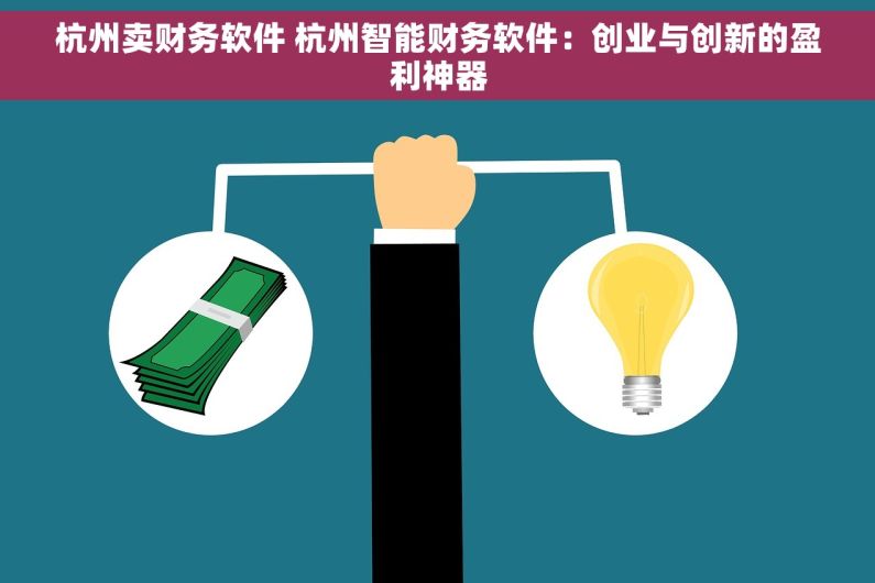 杭州卖财务软件 杭州智能财务软件：创业与创新的盈利神器