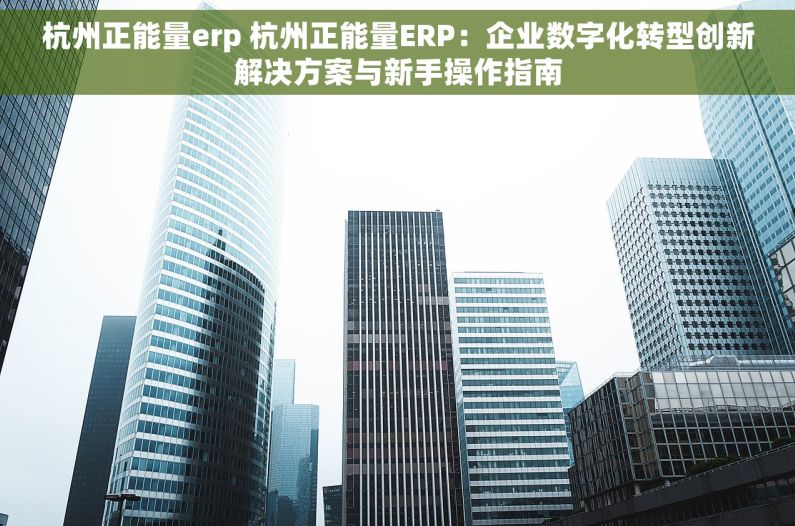 杭州正能量erp 杭州正能量ERP：企业数字化转型创新解决方案与新手操作指南