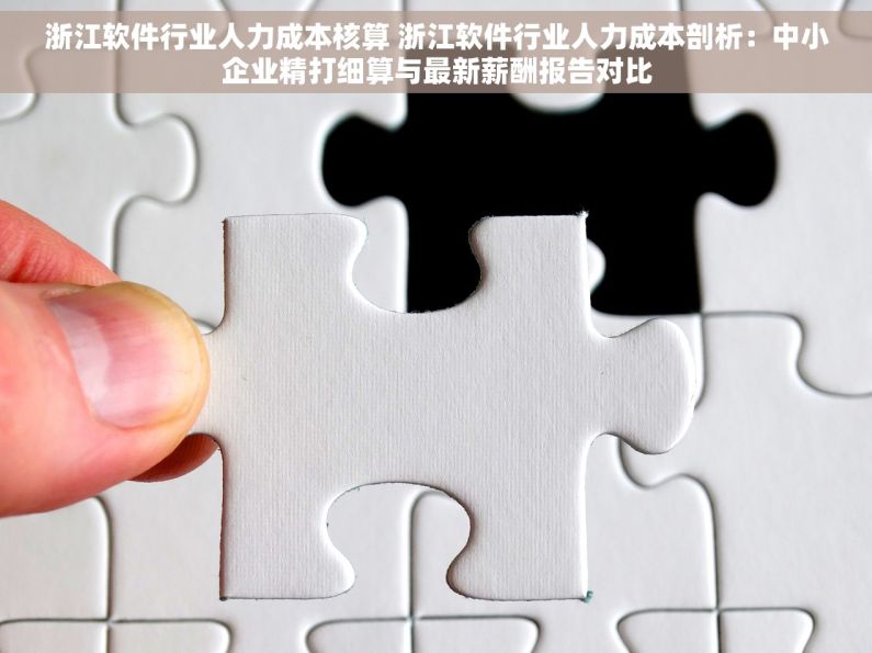 浙江软件行业人力成本核算 浙江软件行业人力成本剖析：中小企业精打细算与最新薪酬报告对比