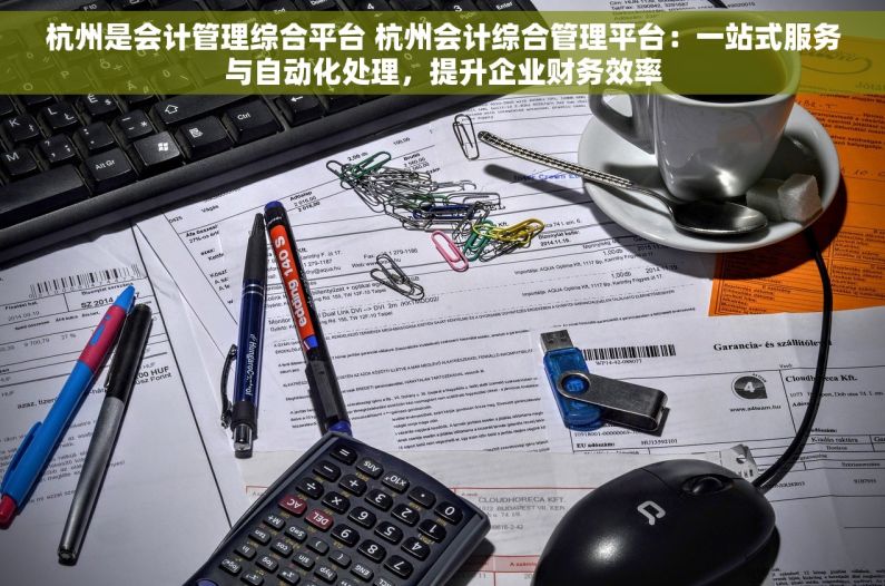 杭州是会计管理综合平台 杭州会计综合管理平台：一站式服务与自动化处理，提升企业财务效率