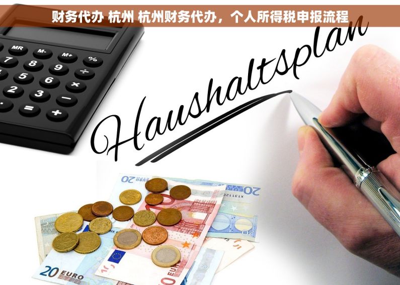 财务代办 杭州 杭州财务代办，个人所得税申报流程