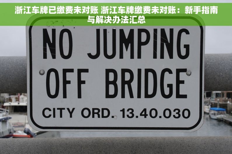 浙江车牌已缴费未对账 浙江车牌缴费未对账：新手指南与解决办法汇总