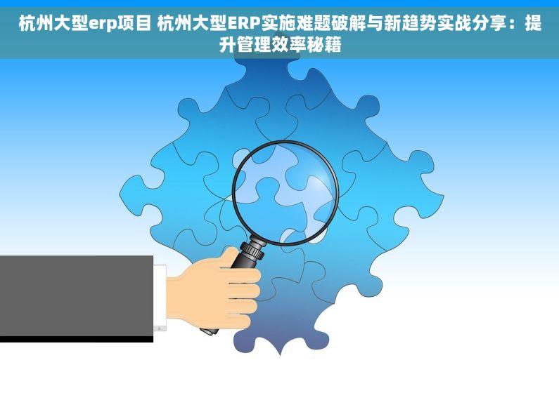 杭州大型erp项目 杭州大型ERP实施难题破解与新趋势实战分享：提升管理效率秘籍