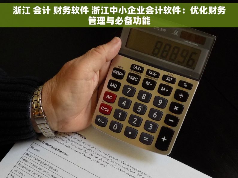浙江 会计 财务软件 浙江中小企业会计软件：优化财务管理与必备功能