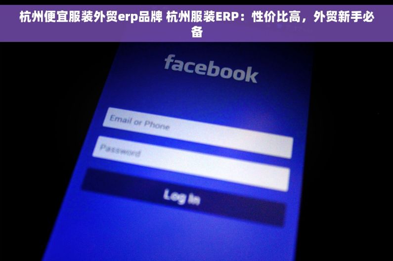 杭州便宜服装外贸erp品牌 杭州服装ERP：性价比高，外贸新手必备
