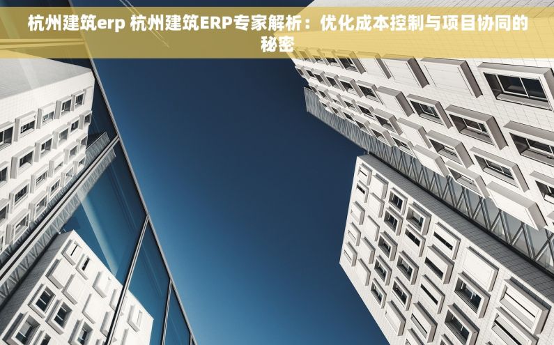 杭州建筑erp 杭州建筑ERP专家解析：优化成本控制与项目协同的秘密