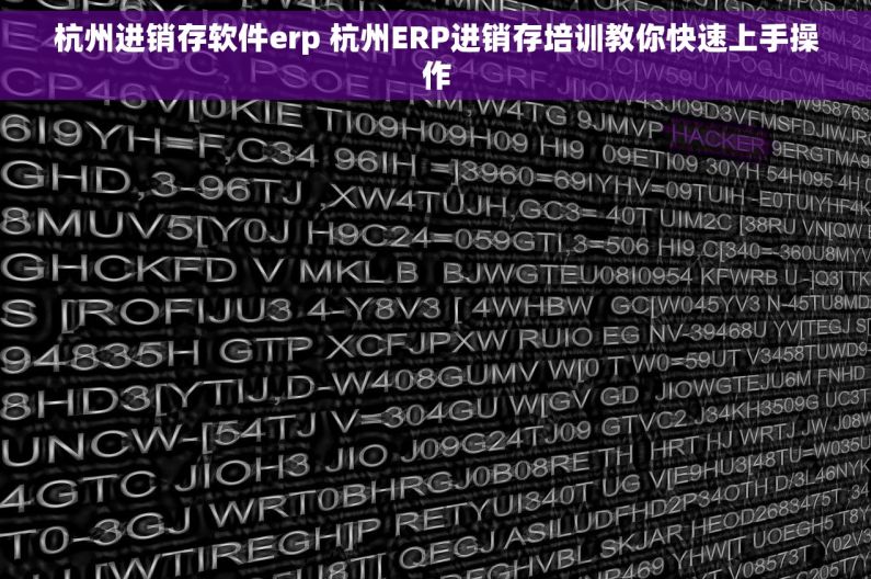 杭州进销存软件erp 杭州ERP进销存培训教你快速上手操作