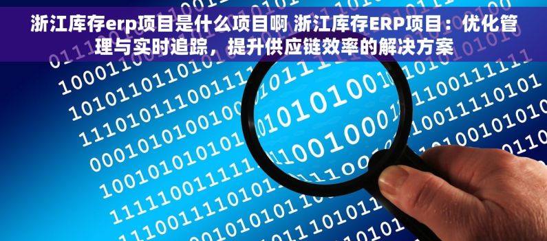 浙江库存erp项目是什么项目啊 浙江库存ERP项目：优化管理与实时追踪，提升供应链效率的解决方案