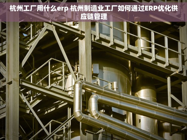 杭州工厂用什么erp 杭州制造业工厂如何通过ERP优化供应链管理