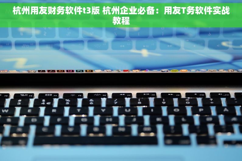 杭州用友财务软件t3版 杭州企业必备：用友T务软件实战教程