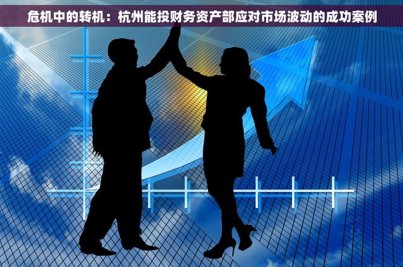 危机中的转机：杭州能投财务资产部应对市场波动的成功案例