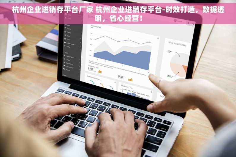 杭州企业进销存平台厂家 杭州企业进销存平台-时效打造，数据透明，省心经营！