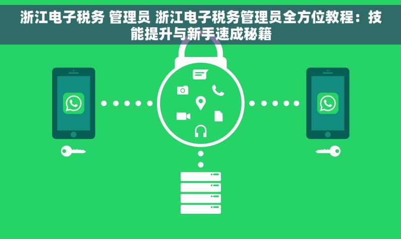 浙江电子税务 管理员 浙江电子税务管理员全方位教程：技能提升与新手速成秘籍