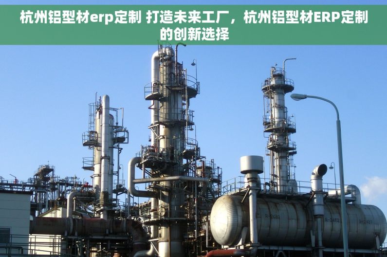 杭州铝型材erp定制 打造未来工厂，杭州铝型材ERP定制的创新选择