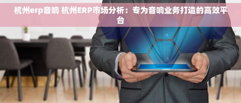 杭州erp音响 杭州ERP市场分析：专为音响业务打造的高效平台
