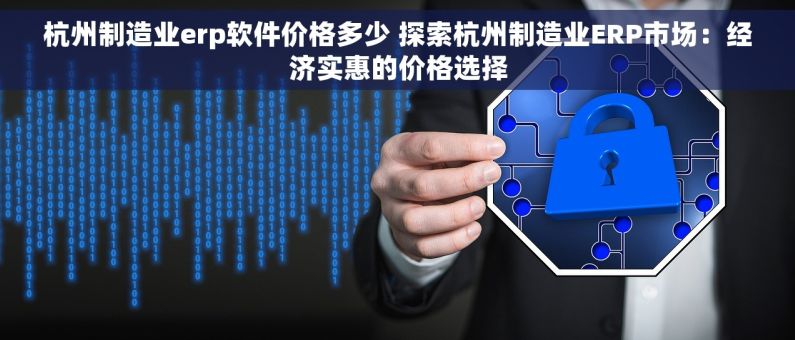 杭州制造业erp软件价格多少 探索杭州制造业ERP市场：经济实惠的价格选择