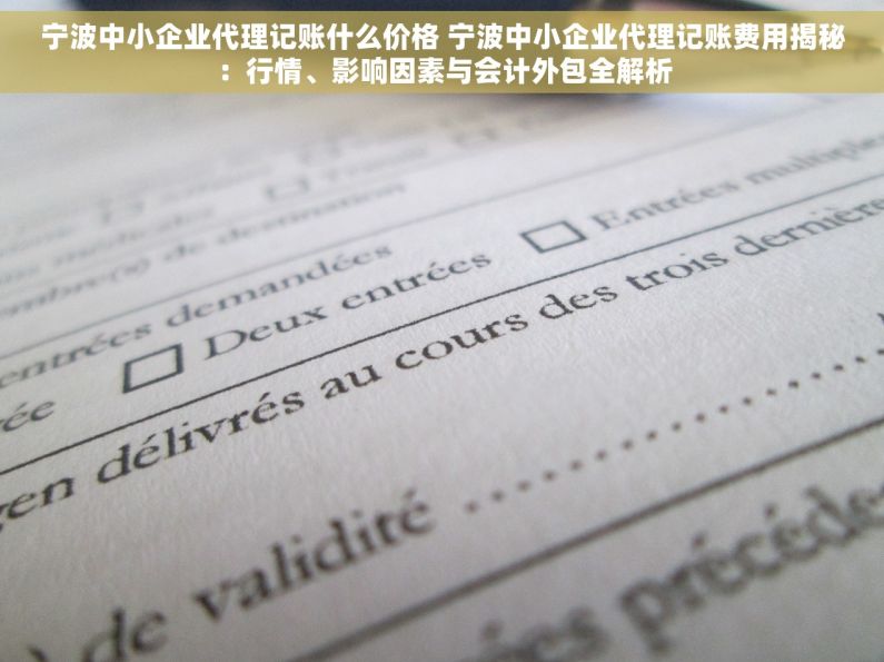 宁波中小企业代理记账什么价格 宁波中小企业代理记账费用揭秘：行情、影响因素与会计外包全解析