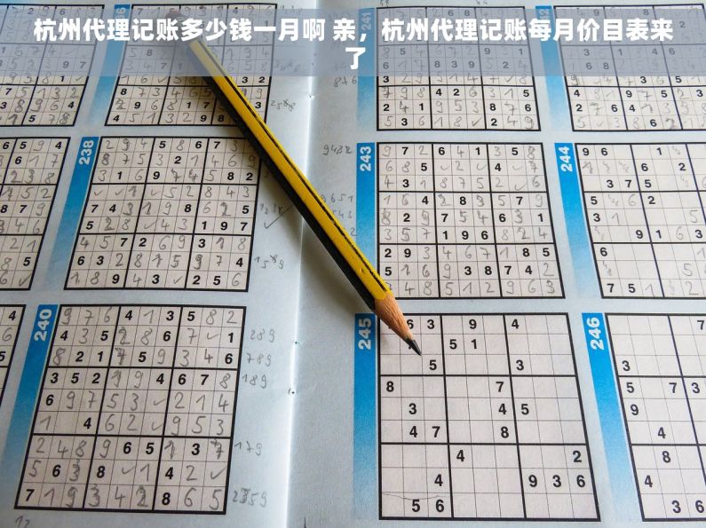 杭州代理记账多少钱一月啊 亲，杭州代理记账每月价目表来了
