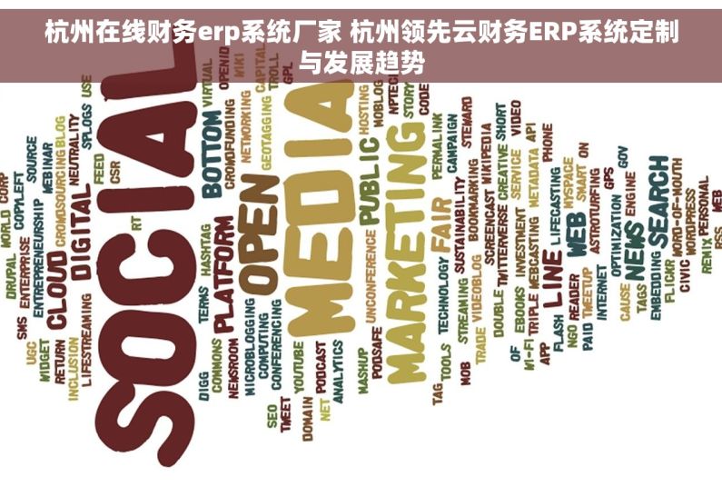 杭州在线财务erp系统厂家 杭州领先云财务ERP系统定制与发展趋势