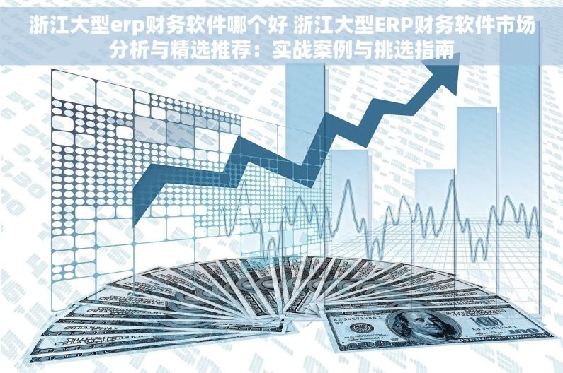 浙江大型erp财务软件哪个好 浙江大型ERP财务软件市场分析与精选推荐：实战案例与挑选指南