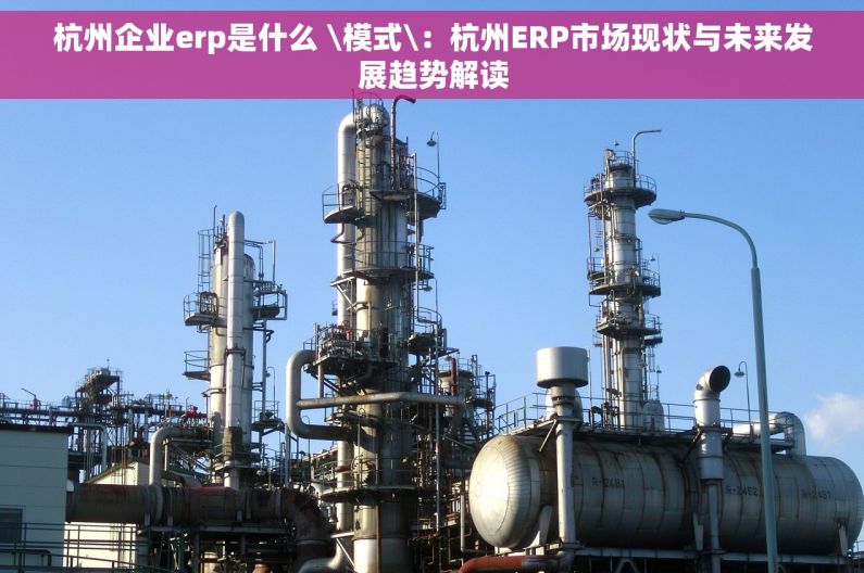 杭州企业erp是什么 \模式\：杭州ERP市场现状与未来发展趋势解读