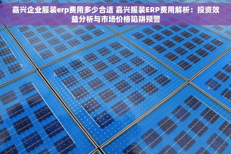 嘉兴企业服装erp费用多少合适 嘉兴服装ERP费用解析：投资效益分析与市场价格陷阱预警