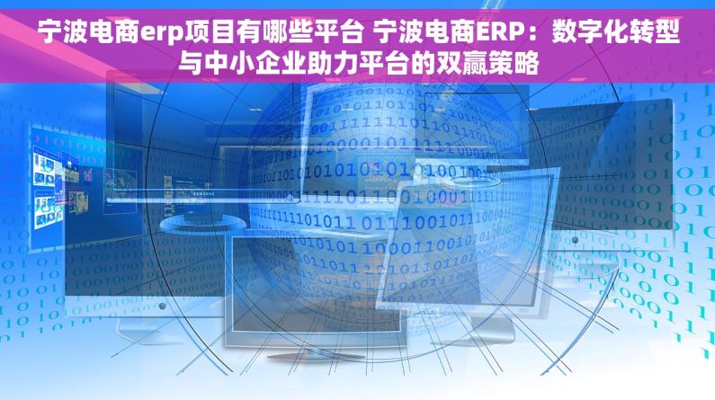 宁波电商erp项目有哪些平台 宁波电商ERP：数字化转型与中小企业助力平台的双赢策略