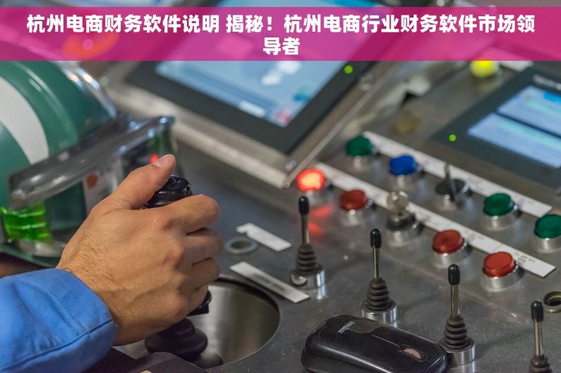杭州电商财务软件说明 揭秘！杭州电商行业财务软件市场领导者