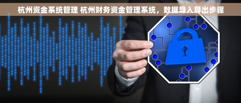 杭州资金系统管理 杭州财务资金管理系统，数据导入导出步骤