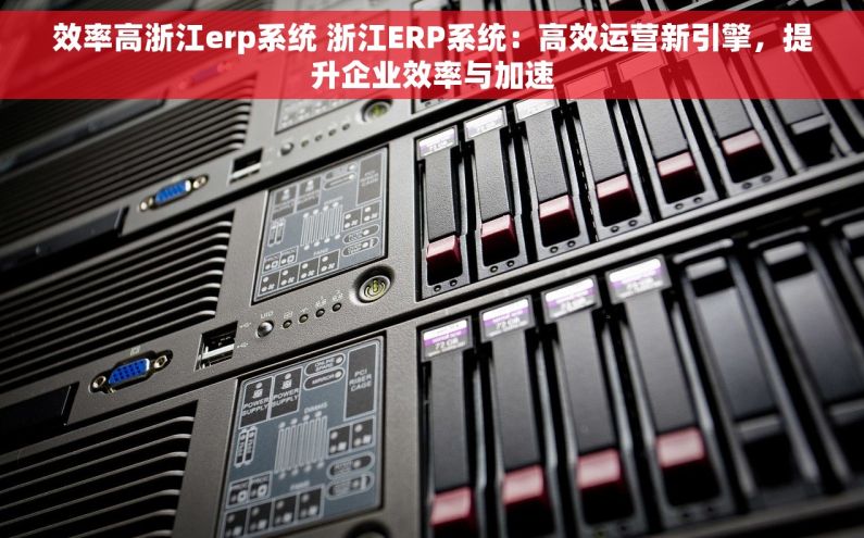 效率高浙江erp系统 浙江ERP系统：高效运营新引擎，提升企业效率与加速
