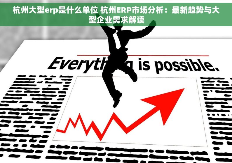 杭州大型erp是什么单位 杭州ERP市场分析：最新趋势与大型企业需求解读