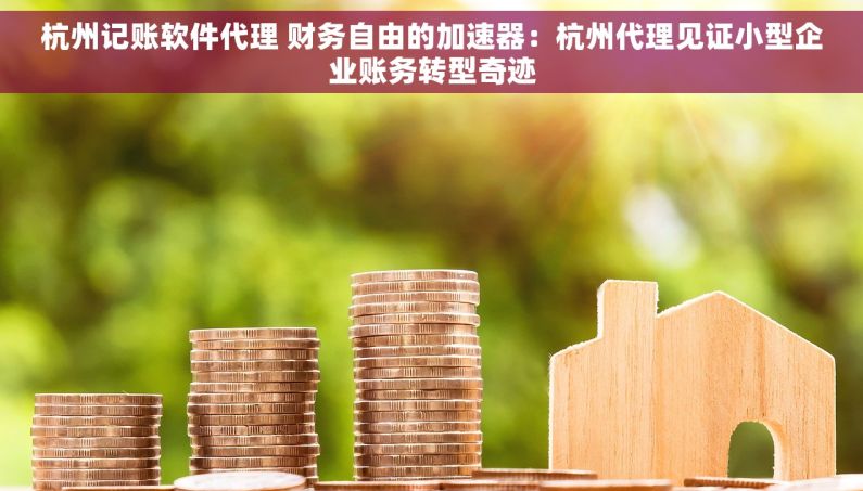杭州记账软件代理 财务自由的加速器：杭州代理见证小型企业账务转型奇迹