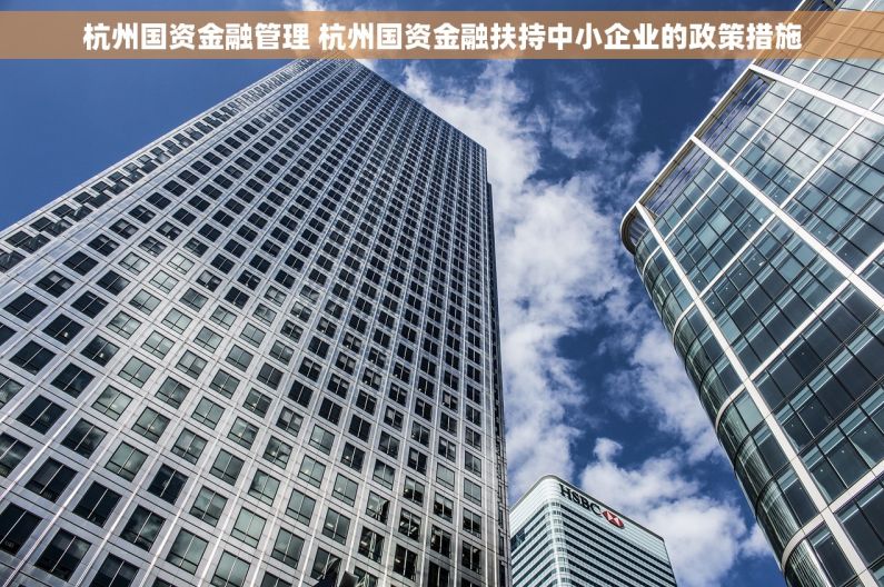 杭州国资金融管理 杭州国资金融扶持中小企业的政策措施