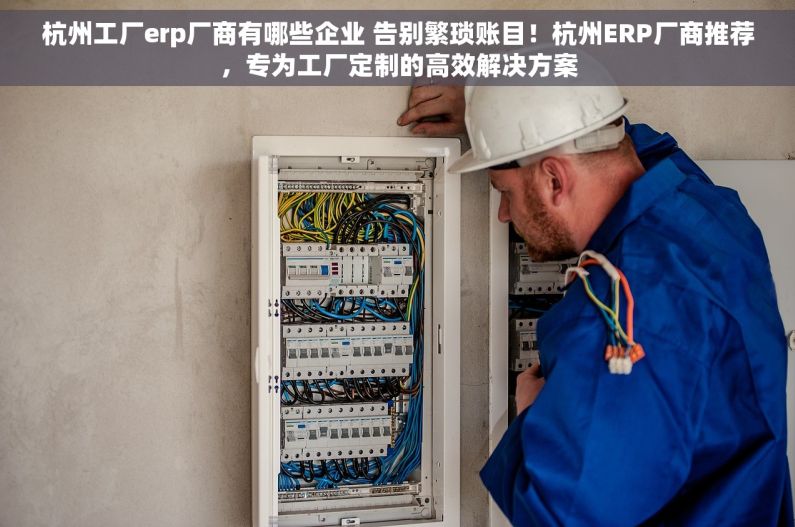 杭州工厂erp厂商有哪些企业 告别繁琐账目！杭州ERP厂商推荐，专为工厂定制的高效解决方案