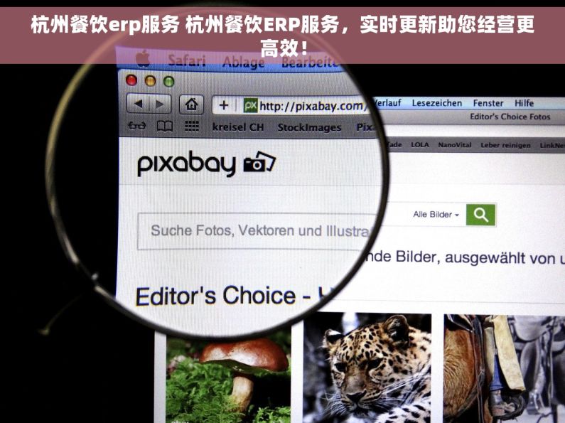 杭州餐饮erp服务 杭州餐饮ERP服务，实时更新助您经营更高效！