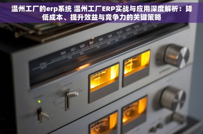 温州工厂的erp系统 温州工厂ERP实战与应用深度解析：降低成本、提升效益与竞争力的关键策略