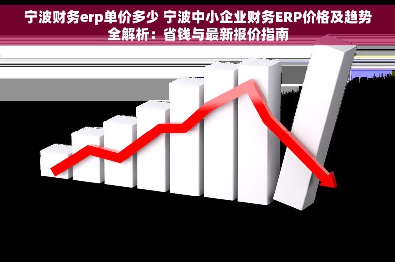 宁波财务erp单价多少 宁波中小企业财务ERP价格及趋势全解析：省钱与最新报价指南