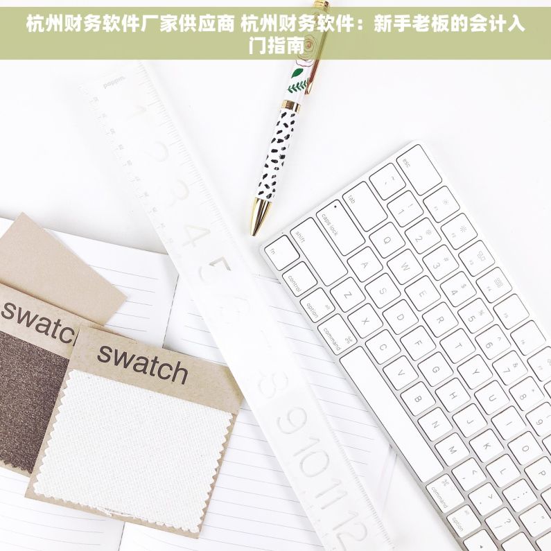 杭州财务软件厂家供应商 杭州财务软件：新手老板的会计入门指南