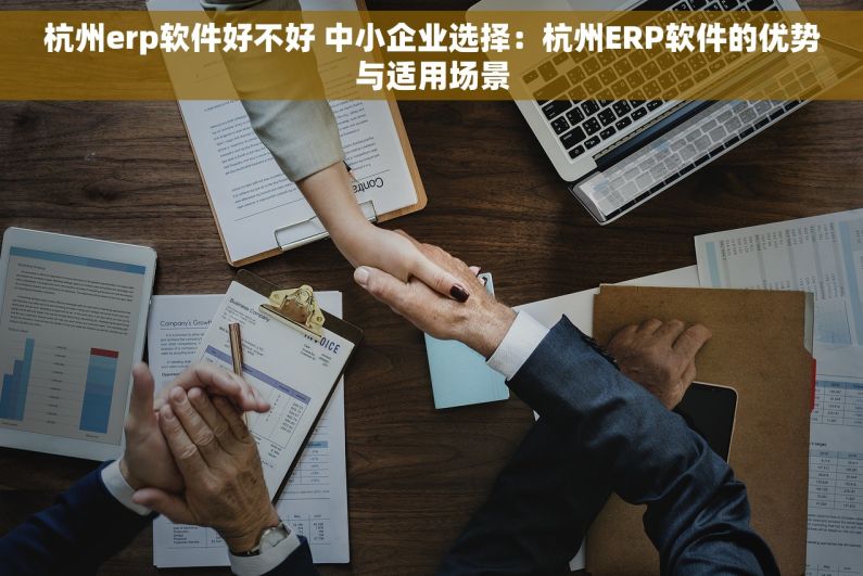 杭州erp软件好不好 中小企业选择：杭州ERP软件的优势与适用场景