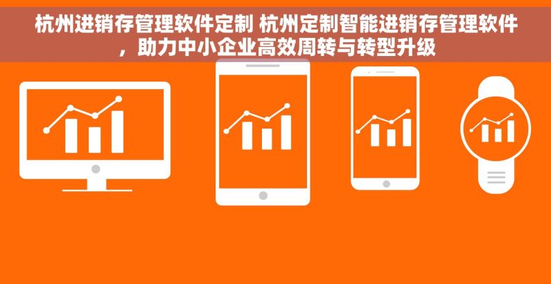 杭州进销存管理软件定制 杭州定制智能进销存管理软件，助力中小企业高效周转与转型升级