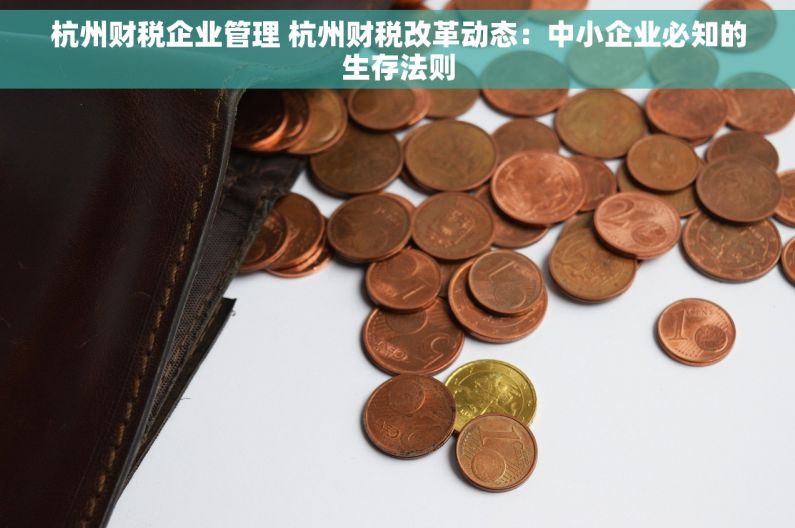 杭州财税企业管理 杭州财税改革动态:中小企业必知的生存法则 杭州财税企业管理 杭州财税改革动态:中小企业必知的生存法则