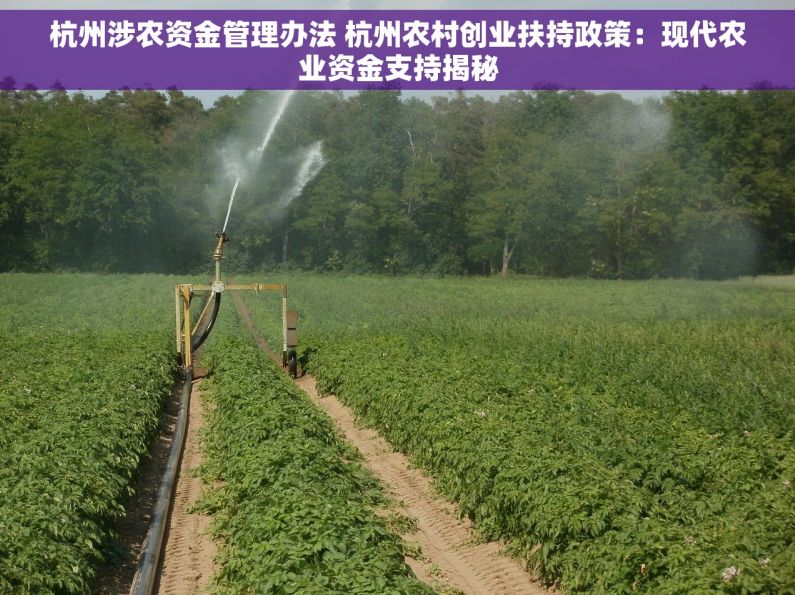 杭州涉农资金管理办法 杭州农村创业扶持政策：现代农业资金支持揭秘