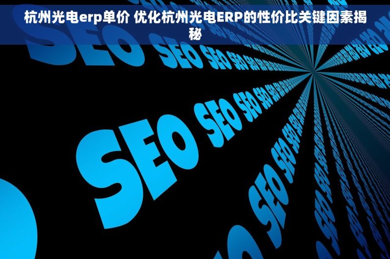 杭州光电erp单价 优化杭州光电ERP的性价比关键因素揭秘