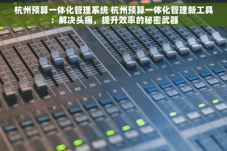 杭州预算一体化管理系统 杭州预算一体化管理新工具：解决头痛，提升效率的秘密武器