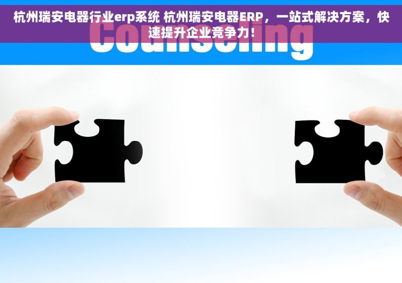 杭州瑞安电器行业erp系统 杭州瑞安电器ERP，一站式解决方案，快速提升企业竞争力！