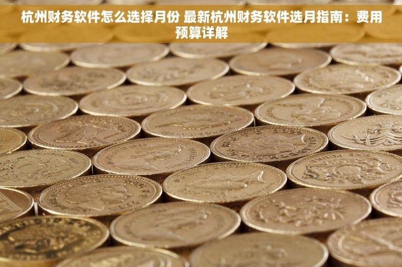 杭州财务软件怎么选择月份 最新杭州财务软件选月指南：费用预算详解